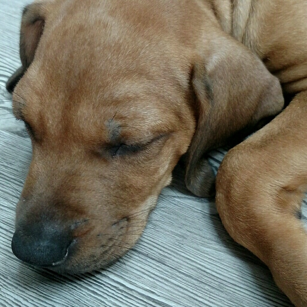 Meet your Posher, Gail